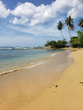 Beach Villas Dorado Puerto Rico